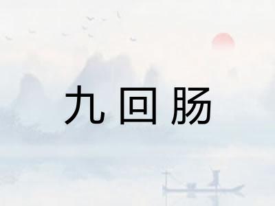 九回肠