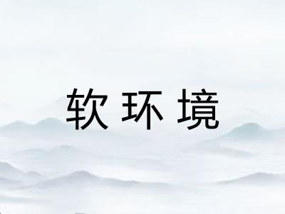 软环境