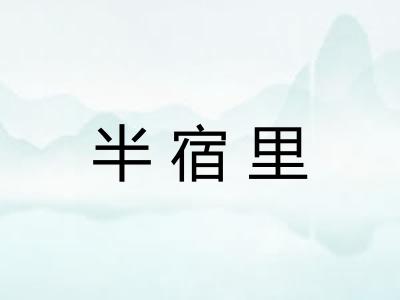 半宿里