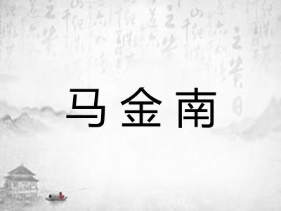马金南
