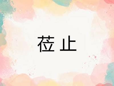 莅止