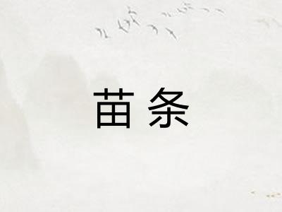 苗条