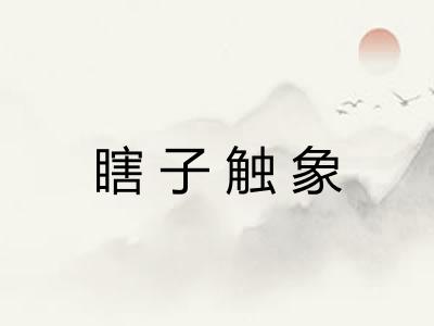 瞎子触象
