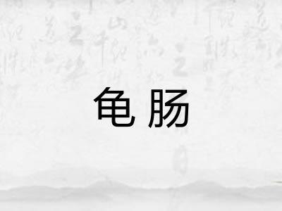 龟肠