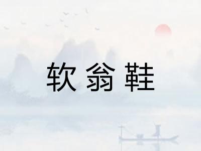 软翁鞋