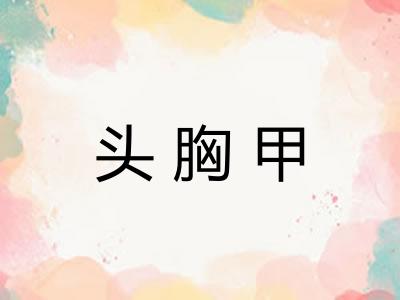 头胸甲