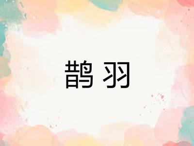 鹊羽