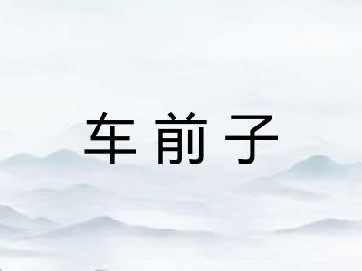 车前子