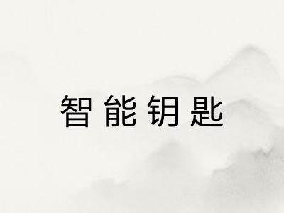 智能钥匙