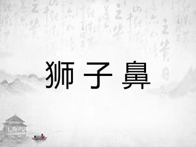 狮子鼻
