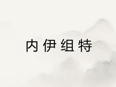 内伊组特