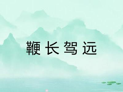 鞭长驾远