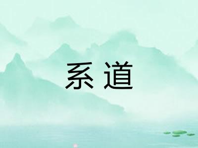系道