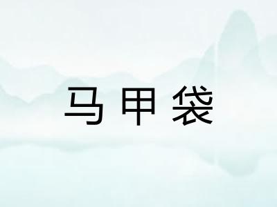 马甲袋