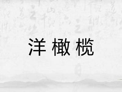 洋橄榄