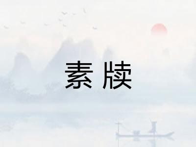 素牍