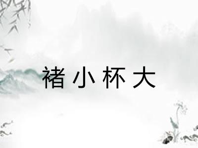 褚小杯大