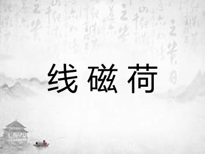 线磁荷