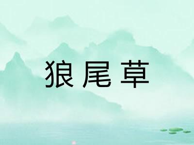 狼尾草
