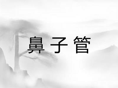 鼻子管