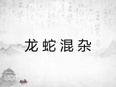 龙蛇混杂