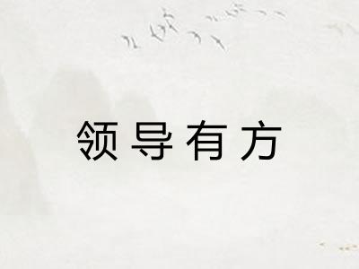 领导有方