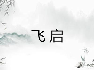 飞启