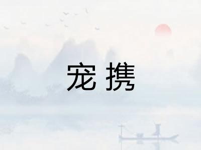 宠携