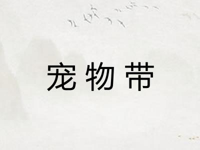宠物带