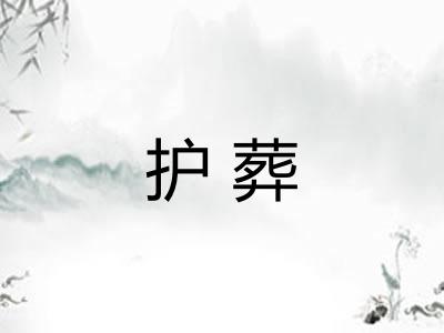 护葬