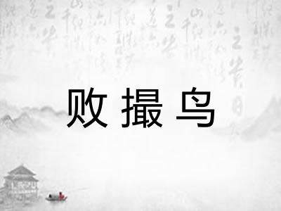 败撮鸟
