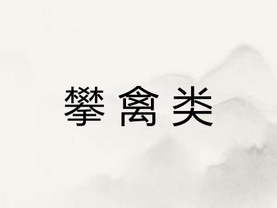 攀禽类