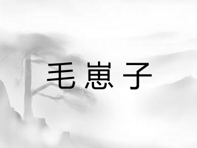 毛崽子