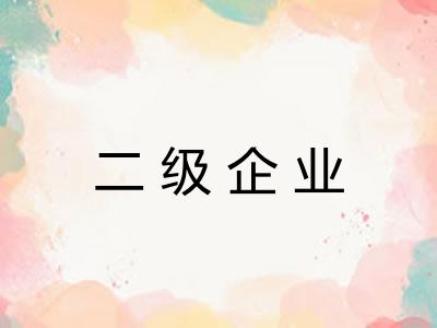 二级企业