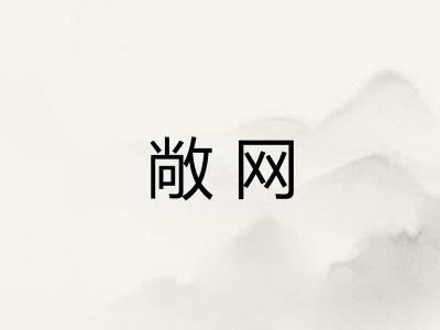 敞网