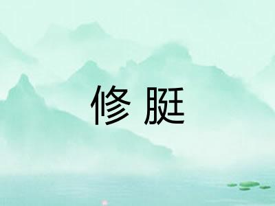修脡