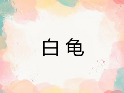 白龟