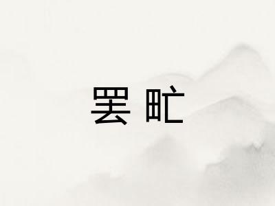 罢甿