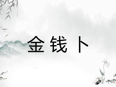 金钱卜