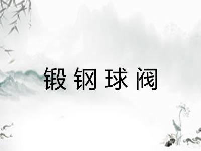 锻钢球阀