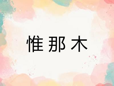 惟那木