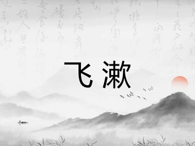 飞漱