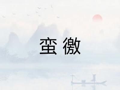 蛮徼
