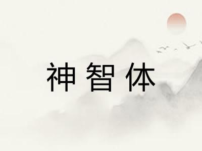 神智体