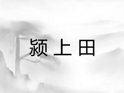 颍上田
