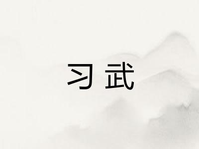 习武