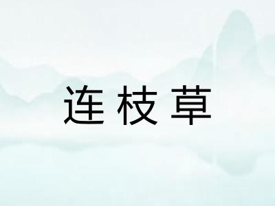 连枝草