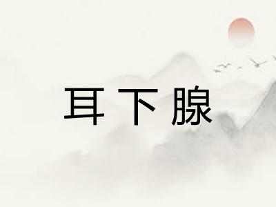 耳下腺