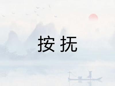 按抚