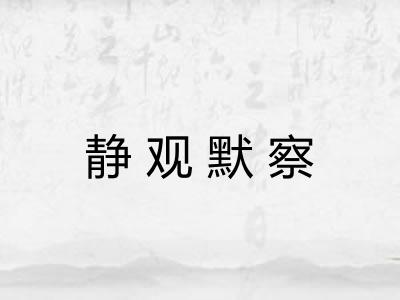 静观默察